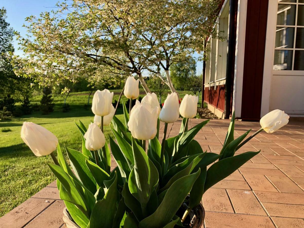 Villa Sofia Boutique Troki Zewnętrze zdjęcie
